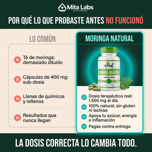 Moringa Oleífera Natural · 60 cápsulas