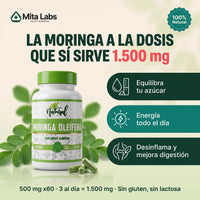 Moringa Oleífera Natural · 60 cápsulas