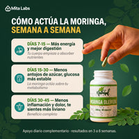 Moringa Oleífera Natural · 60 cápsulas