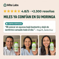 Moringa Oleífera Natural · 60 cápsulas